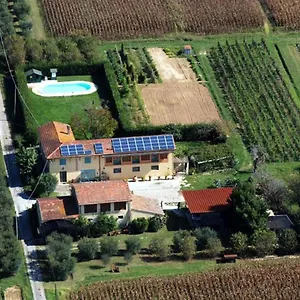 Il Chicco D'oro Appartamento Massarosa